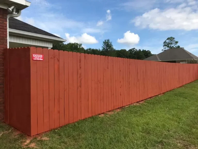 67830992 1595400623953891 2595533571166830592 n 08a7e250 1920w 768x576