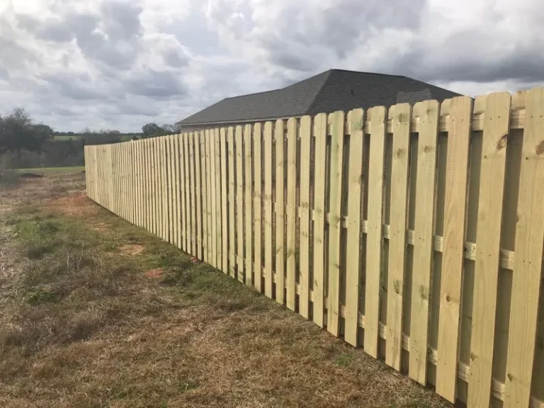 IMG 4555 1920w 768x576