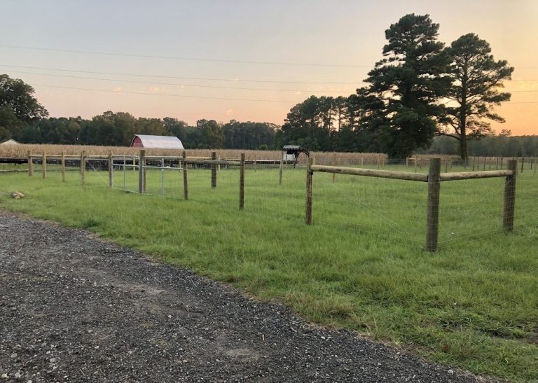 farm fencing contractors nc 768x547