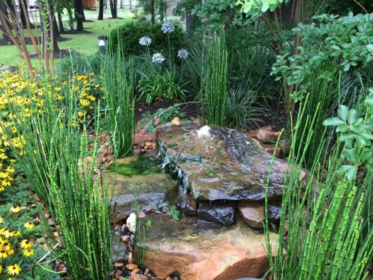 native texas landscape gallery 054 1920w 768x576