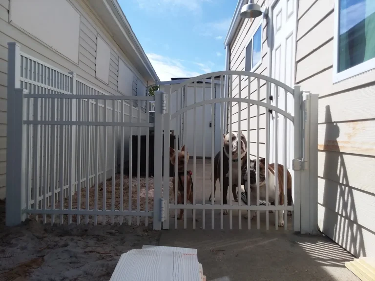 rsw 1950h 1200 2 768x576