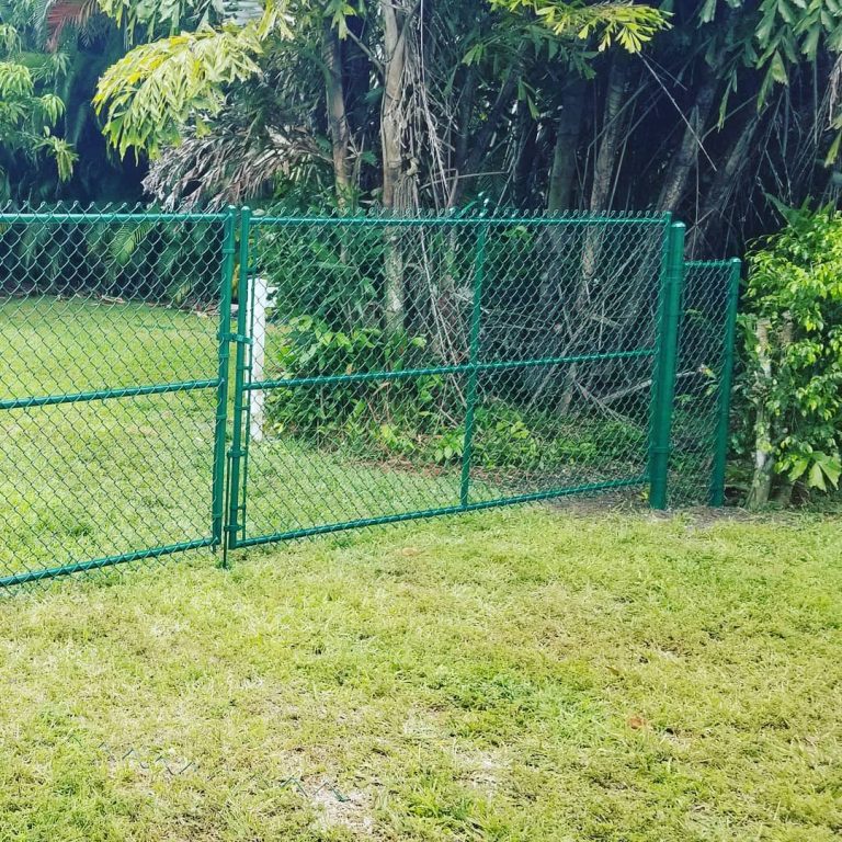 96413634 875640606194787 4738126673050861568 n 768x768