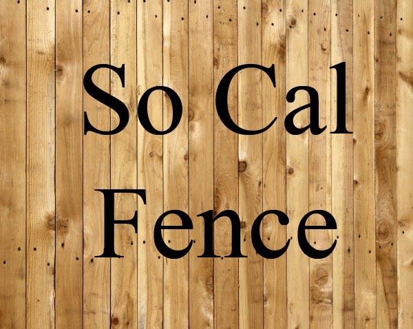 300956288 594797002116329 5401949164334541678 n 1